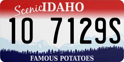 ID license plate 1O7129S