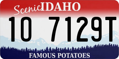 ID license plate 1O7129T