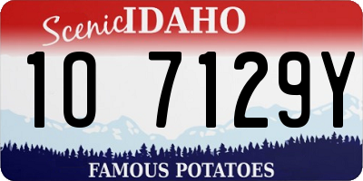 ID license plate 1O7129Y