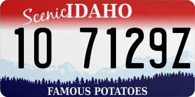 ID license plate 1O7129Z