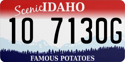 ID license plate 1O7130G