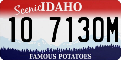 ID license plate 1O7130M