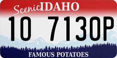 ID license plate 1O7130P