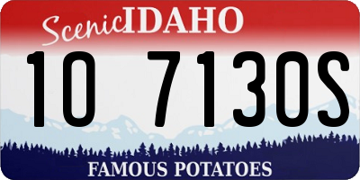 ID license plate 1O7130S