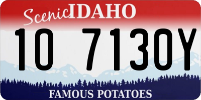 ID license plate 1O7130Y