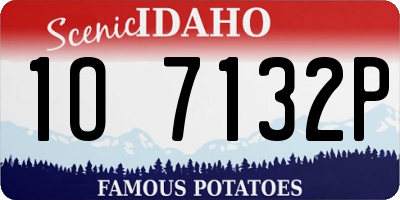 ID license plate 1O7132P
