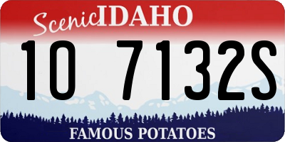ID license plate 1O7132S