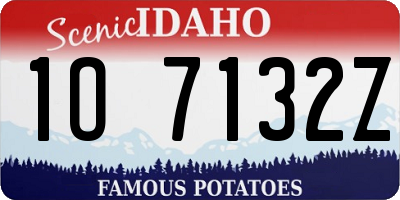 ID license plate 1O7132Z