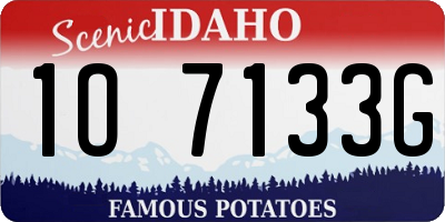 ID license plate 1O7133G