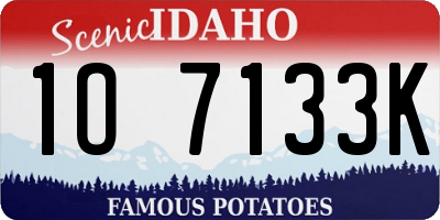 ID license plate 1O7133K