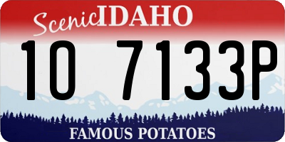 ID license plate 1O7133P