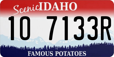 ID license plate 1O7133R