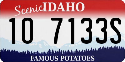 ID license plate 1O7133S