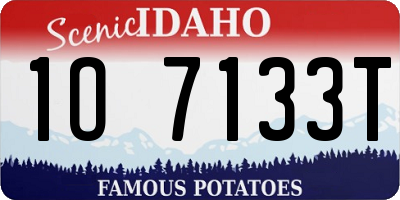 ID license plate 1O7133T