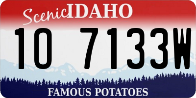 ID license plate 1O7133W