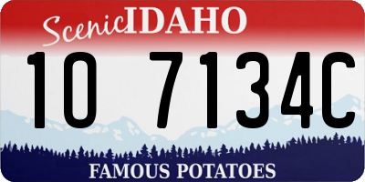 ID license plate 1O7134C