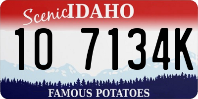 ID license plate 1O7134K