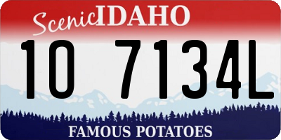 ID license plate 1O7134L