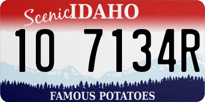 ID license plate 1O7134R