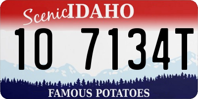 ID license plate 1O7134T