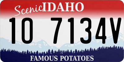 ID license plate 1O7134V