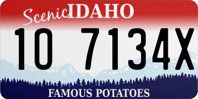 ID license plate 1O7134X