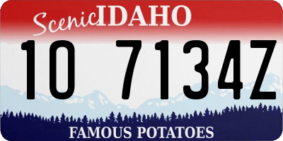 ID license plate 1O7134Z