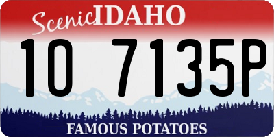 ID license plate 1O7135P