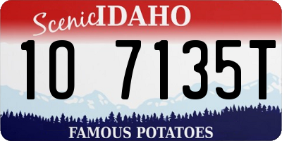 ID license plate 1O7135T