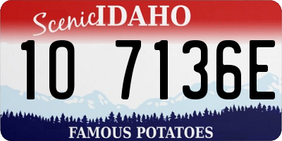 ID license plate 1O7136E