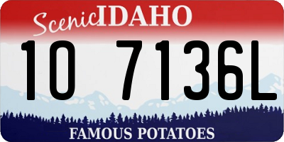 ID license plate 1O7136L
