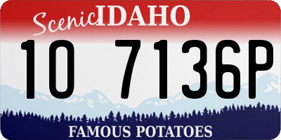ID license plate 1O7136P