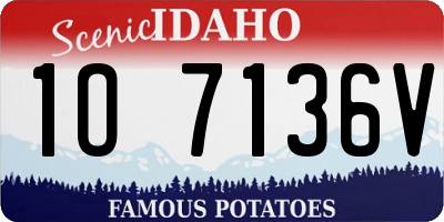 ID license plate 1O7136V