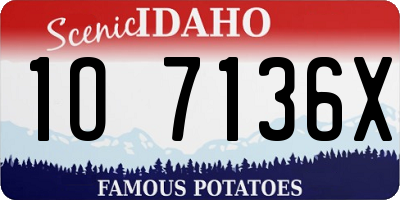 ID license plate 1O7136X