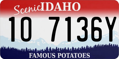 ID license plate 1O7136Y