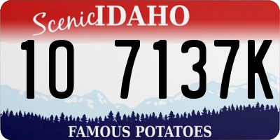 ID license plate 1O7137K