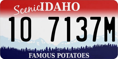ID license plate 1O7137M