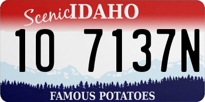 ID license plate 1O7137N