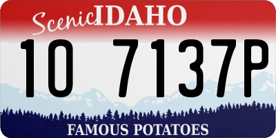ID license plate 1O7137P