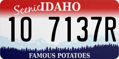 ID license plate 1O7137R