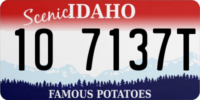 ID license plate 1O7137T
