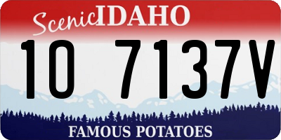 ID license plate 1O7137V