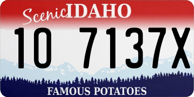 ID license plate 1O7137X