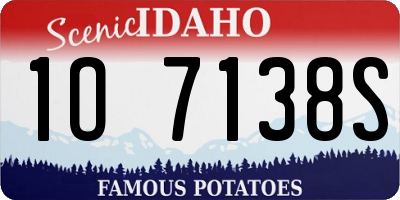 ID license plate 1O7138S