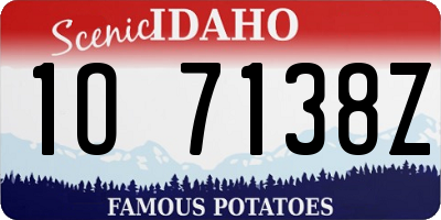 ID license plate 1O7138Z