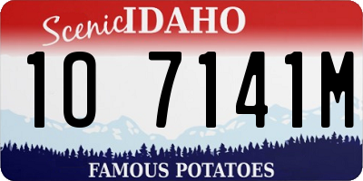 ID license plate 1O7141M