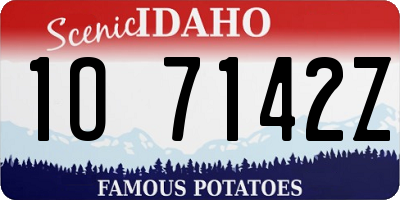 ID license plate 1O7142Z