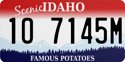 ID license plate 1O7145M
