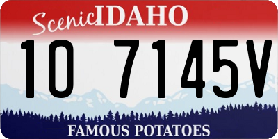 ID license plate 1O7145V