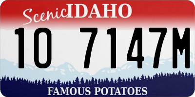 ID license plate 1O7147M